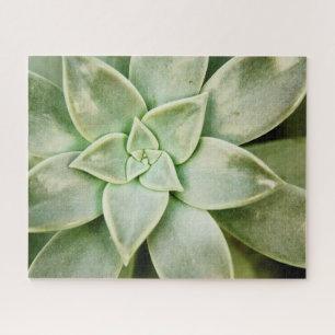 Puzzle Primavera exitosa