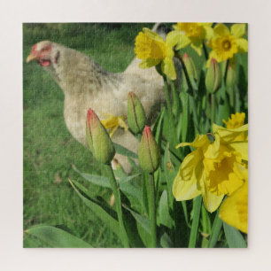 Puzzle primavera, pollo, animal, pollo, pájaro, granja, l