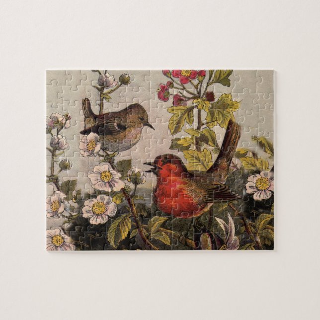 Puzzle Primavera Robin Birds Red Birds (Horizontal)