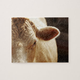 Puzzle Primer de la cara de la vaca