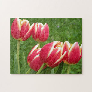 Puzzle Primer de los tulipanes
