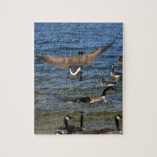 Puzzle Primer ganso en volar, ganso en el lago Arrowhead