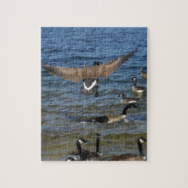 Puzzle Primer ganso en volar, ganso en el lago Arrowhead (Vertical)