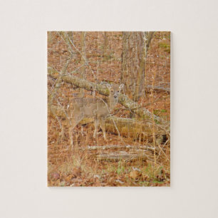 Puzzle Primer invierno de Baby Deer