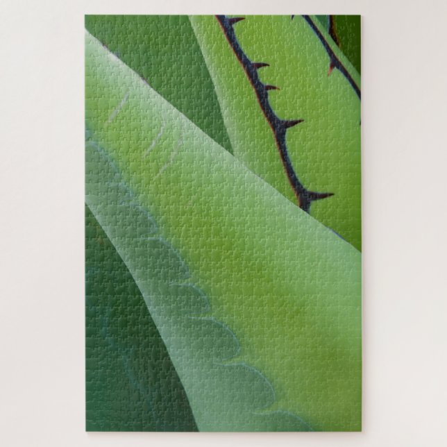 Puzzle Primer plano de agave (Vertical)