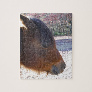 Puzzle Primer plano de caballo marrón, pequeño pony marró