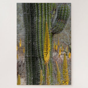 Puzzle Primer plano de cactus y agave