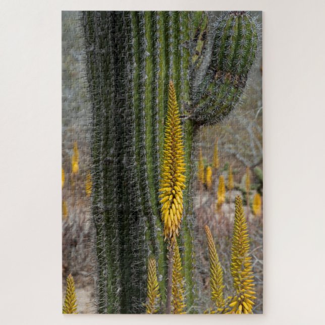 Puzzle Primer plano de cactus y agave (Vertical)