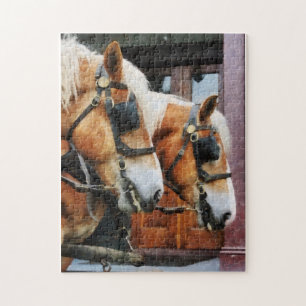 Puzzle Primer plano de Clydesdale
