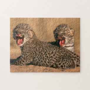 Puzzle Primer plano de leopardo recién nacido (Panthera P