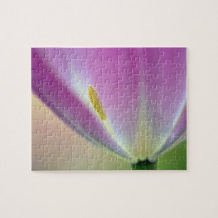 Puzzle Primer plano del envés de la flor de tulipán, Kuek