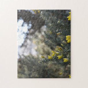 Puzzle Primeras flores de primavera en Hyde Park, Londres