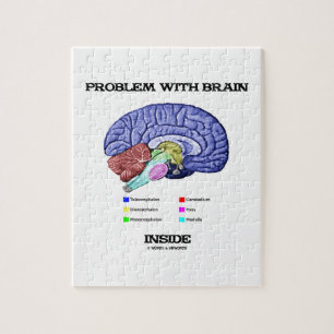 Puzzle Problema con el interior del cerebro (anatomía del