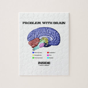 Puzzle Problema con el interior del cerebro (anatomía del