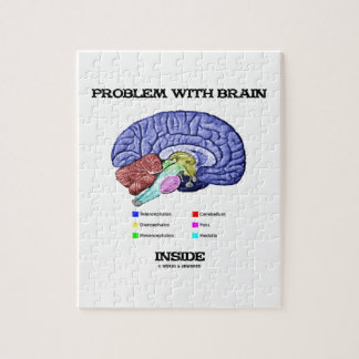 Puzzle Problema con el interior del cerebro (anatomía del