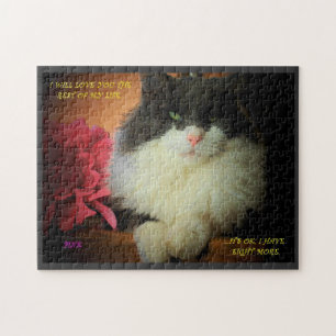 Puzzle Problema de compromiso-Valenpuzzle