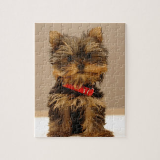 Puzzle Productos de Yorkie