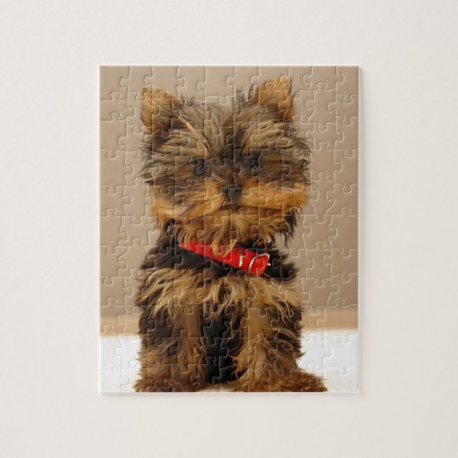 Puzzle Productos de Yorkie (Vertical)