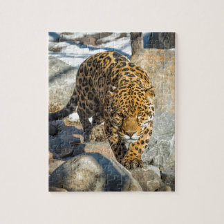 Puzzle Productos del personalizado de Jaguar