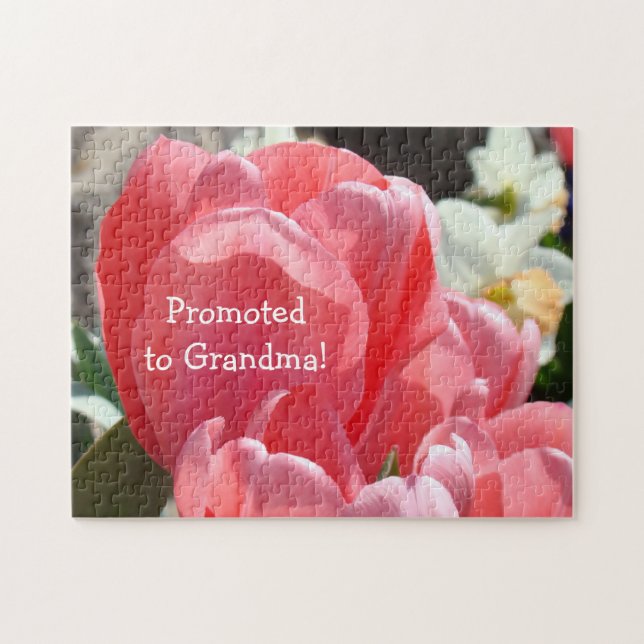 Puzzle Promovido a la abuela desconcierta la invitación (Horizontal)