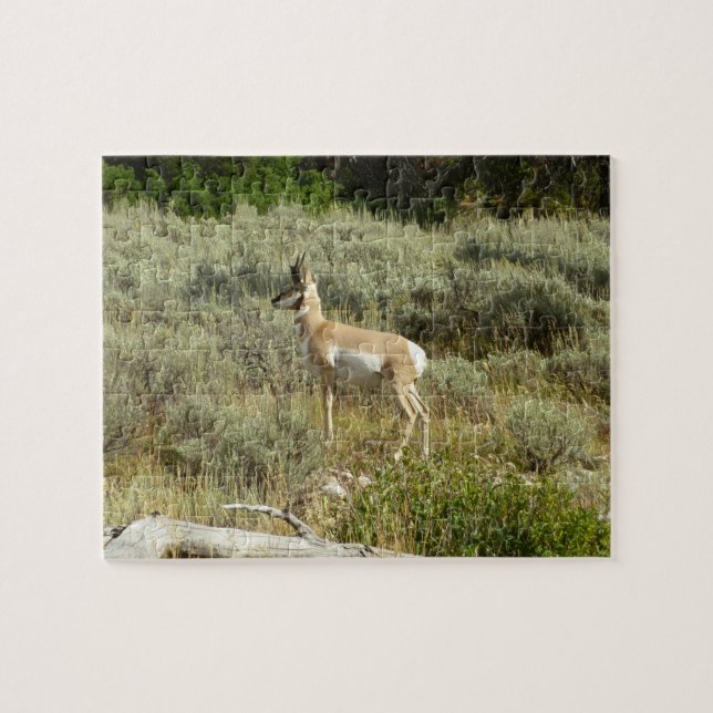 Puzzle Pronghorn en el Parque Nacional de Grand Teton (Horizontal)