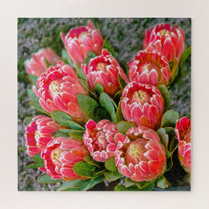 Puzzle Protea flower bunch photo 20' x 20' 676 piece