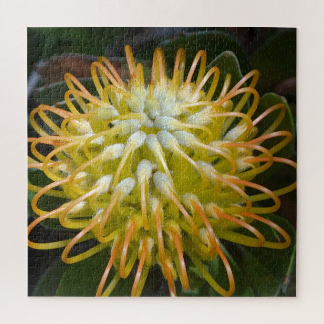 Puzzle Protesta de Pincushion de Flor Exótica Amarilla (Vertical)