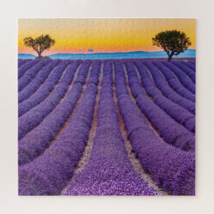Puzzle Provenza, Francia. Meseta de Valensole.