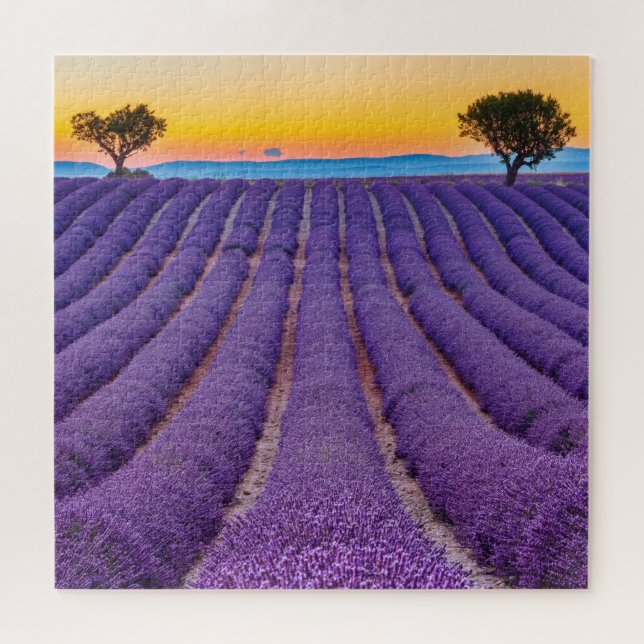 Puzzle Provenza, Francia. Meseta de Valensole. (Horizontal)