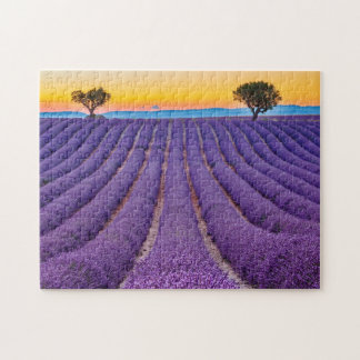 Puzzle Provenza, Francia. Meseta de Valensole.