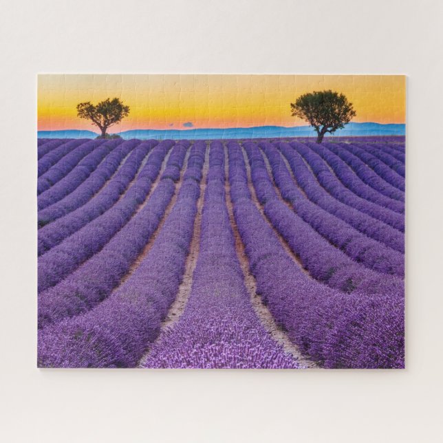 Puzzle Provenza, Francia. Meseta de Valensole. (Horizontal)
