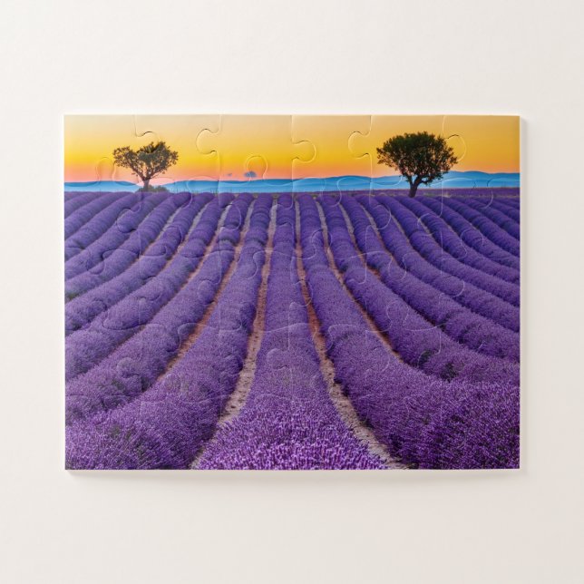 Puzzle Provenza, Francia. Meseta de Valensole. (Horizontal)