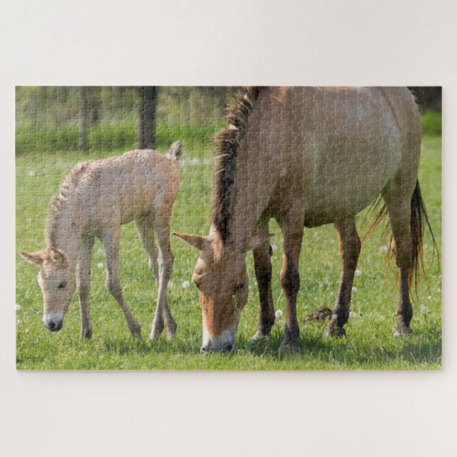 Puzzle Przewalski's Horse and Foal Grazing (Horizontal)