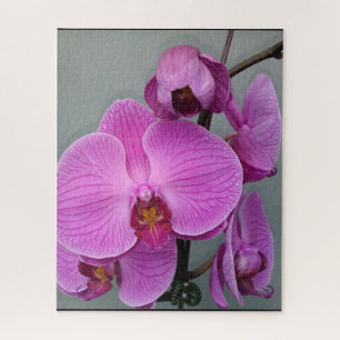PUZZLE PÚBLICO DE ORQUILLA