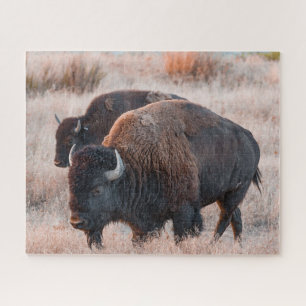 Puzzle Puente Bison Jigsaw