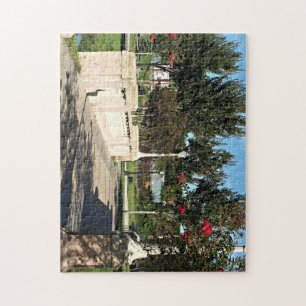Puzzle Puente caminante