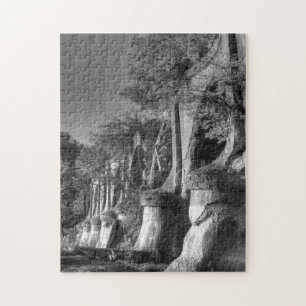 Puzzle Puente Interurbano