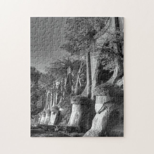 Puzzle Puente Interurbano (Vertical)