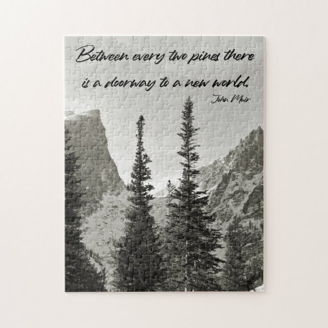 Puzzle Puerta a un nuevo mundo - 11x14 pulgadas (Vertical)