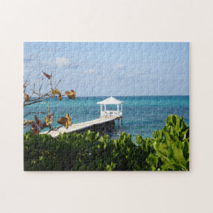 Puzzle Puerto de Arena Nassau Bahamas.