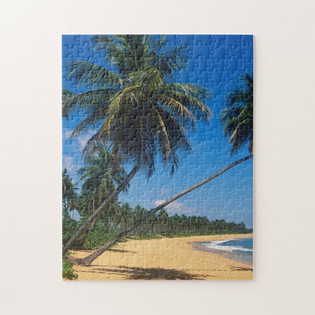 Puzzle Puerto Rico, Isla Verde, palmeras (Vertical)
