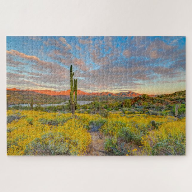Puzzle Puesta de sol en paisaje desértico (Horizontal)