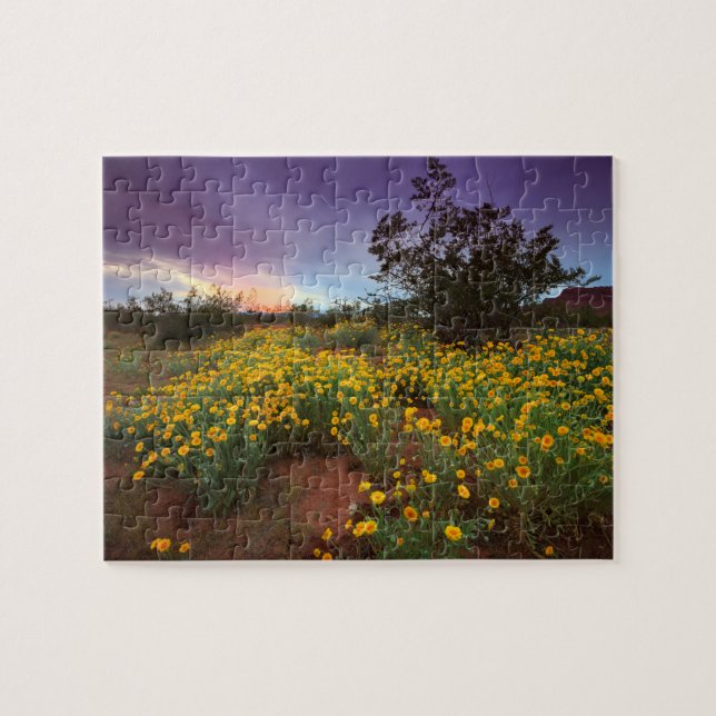 Puzzle Puesta del sol meridional de los Wildflowers del (Horizontal)