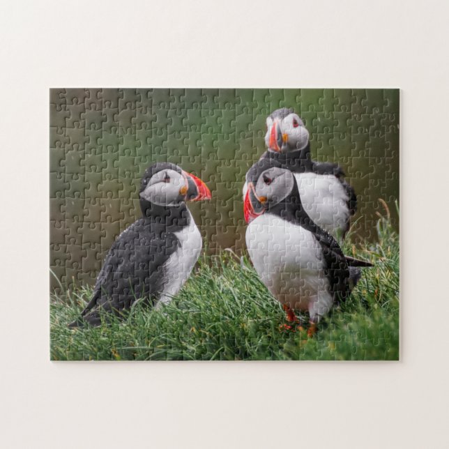 Puzzle Puffin Trio (Horizontal)