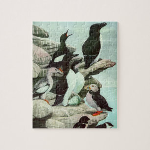 Puzzle Puffines y aves acuáticas antiguas por Louis Fuert