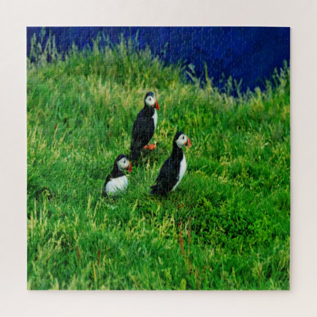 Puzzle Puffins islandeses (Vertical)
