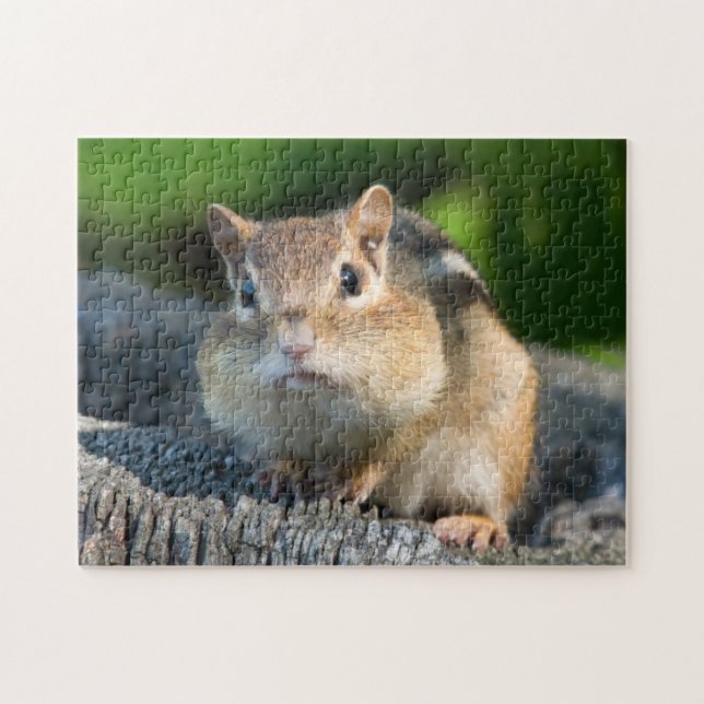 Puzzle Puffy Cheeked Chipmunk (Horizontal)