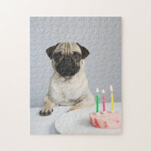 Puzzle Pug de cumpleaños