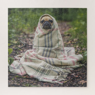 Puzzle Pug En Una Cama