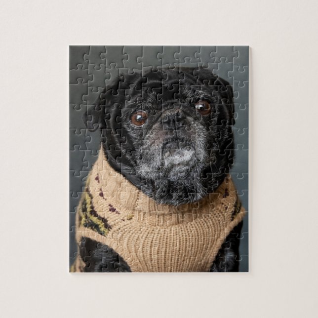 Puzzle Pug negro adorable en un suéter (Vertical)